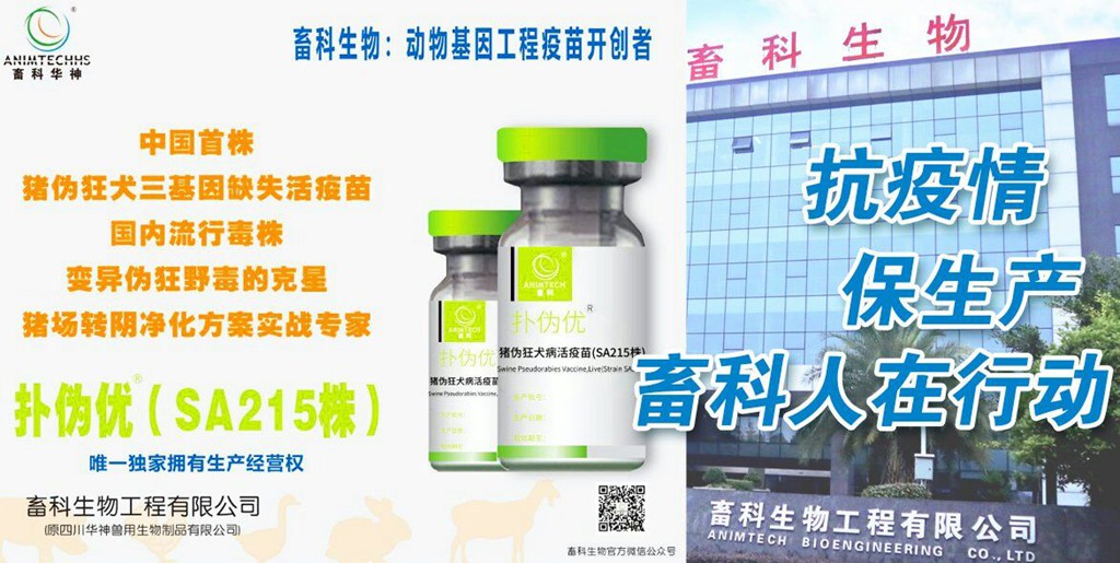 news04.jpg news04.jpg