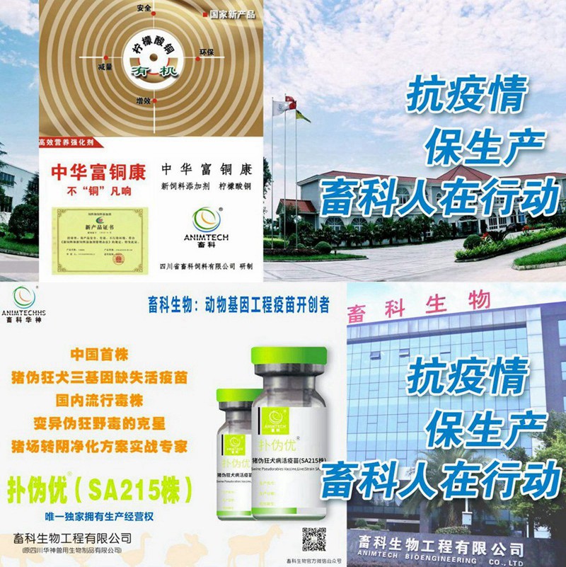 news04.jpg news04.jpg