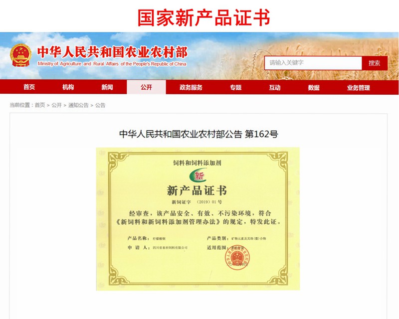 news09.jpg news09.jpg